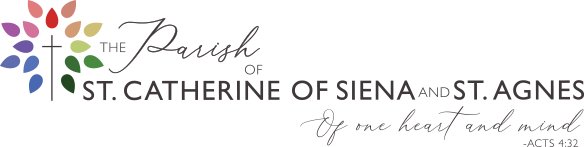 logo dt